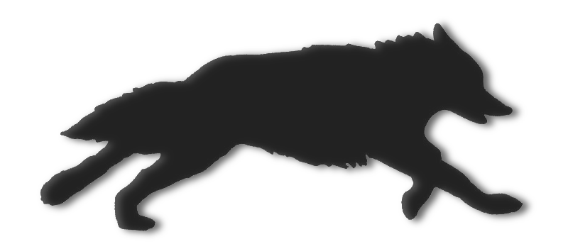 silhouette image of a black dog