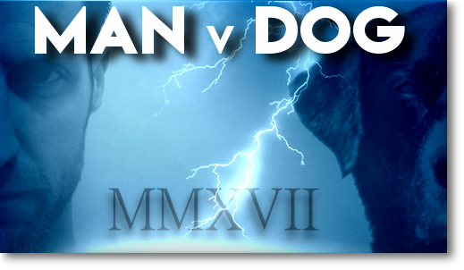 Man versus Dog 2017 challenge icon