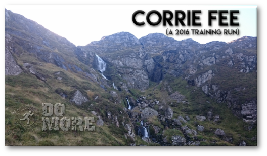 corrie fee video diary